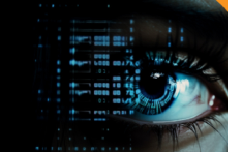 Overcoming AI Data Security with Embedded Approach